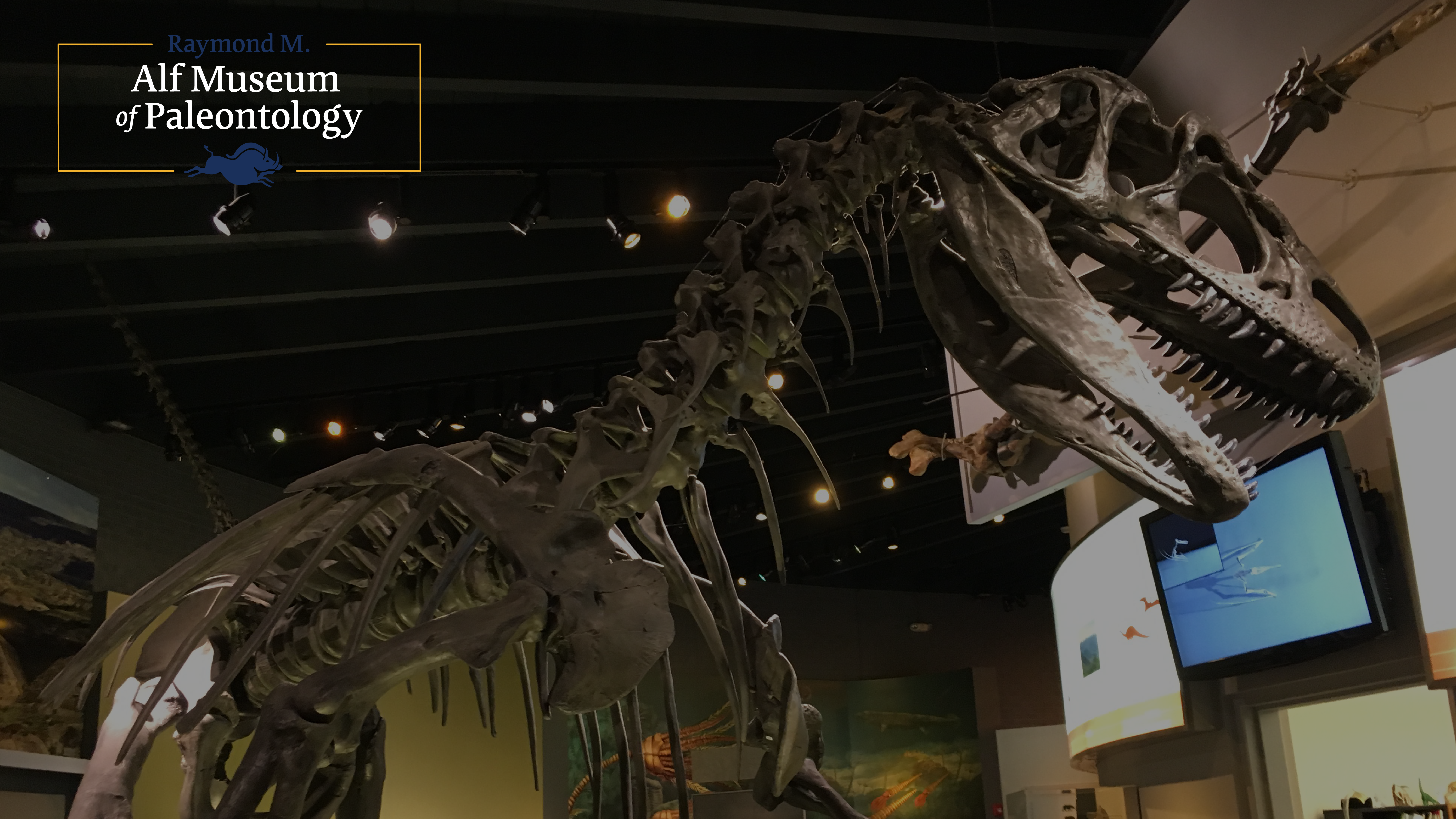 Raymond M. Alf Museum of Paleontology - All You Need to Know BEFORE You Go  (with Photos)